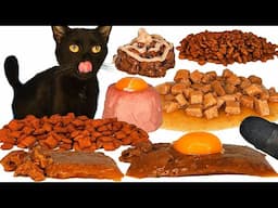 ASMR MUKBANG Cat Eating Wet Food, Dry Food & Egg Yolk