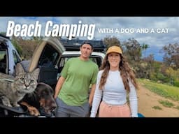 Beach Camping with Our Dog and Cat | Testing the DJI Portable Power Station