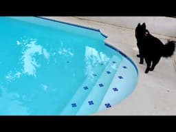 Missing Footage from The Vlog Fancy Living her Best Life