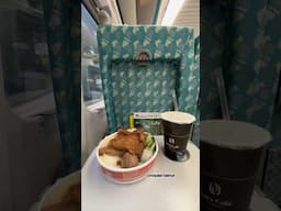 POV Eating $3.33 Taiwanese Pork Chop Rice Lunch Box On Taiwan High Speed Rail 台灣高鐵上吃鐵路便當 #shorts