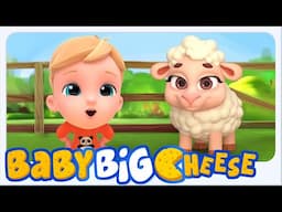 Macdonald Tua Memiliki Video Prasekolah Pertanian Untuk Anak-Anak - Baby Big Cheese