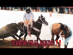 Le tocó la de perder a los de a caballo 😱🔥‼️