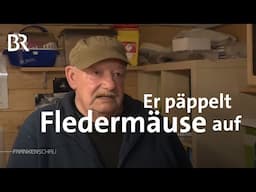 Fledermäuse nach dem Winterschlaf: Rettung geschwächter Tiere | Frankenschau | BR