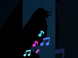 Why do birds sing in the morning? 🦜🎶 #birds #birdsong #wildlife
