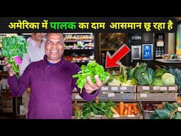 Indian Vegetable in America अमेरिका में पालक कितने का मिलता है with @apnaamerica