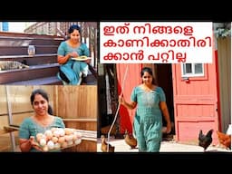 ന്യൂയോർക്കിലെ വീട്ടിൽ തിരിച്ചു എത്തിയപ്പോൾ കണ്ട അതിമനോഹരമായ ഒരു കാഴ്ച  | VLOG | LUNCH COMBO