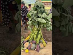 FIRST SLOW FOOD COMMUNITY IN THE PHILIPPINES #slowfood #travel #kalinga