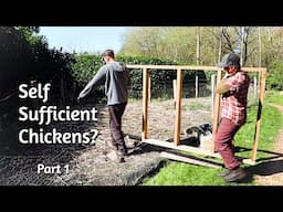 Chicken Food Forest & Coop Build - Part 1 - Self Sufficient Chickens???