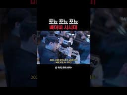 포뇨 더 베이비 사시미