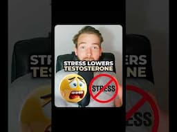 How Sugar Lowers Stress and Protects Testosterone
