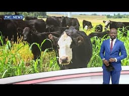 FG Rehabilitates Gombe's Grazing Reserve