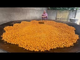 BIGGEST SOYA NUTRI Ever Cooked in Village Style