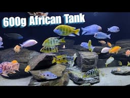 A Problem with the 600 Gallon. I Need Your Help.