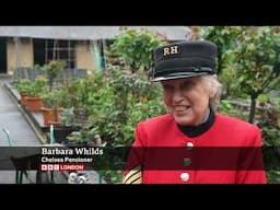BBC London: Chelsea Pensioners to feature at Chelsea Garden Show - Briohny Williams - 15.4.2025