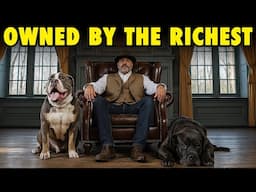 The 10 Millionaire Dog Breeds