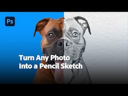 How to Turn a Photo Into a Hand-Drawn Pencil Sketch in Photoshop