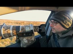 Spring Bird Photography on the Moors - How to Photograph Birds from a Car
