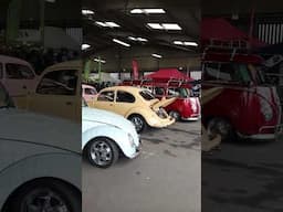 Volksworld Show 2025 - VW Show #vw #volkswagen #aircooled #volksworld #carshow #vwbeetle #vwbeetle