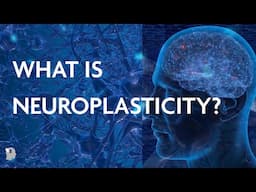 What Is Neuroplasticity? (2025)