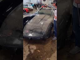First Wash in 15 YEARS 🚘💕 #BarnFind #Corvette #Satisfying #Detailing #ASMR #detaildane #abandonedcar
