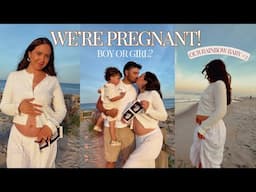 WE'RE HAVING ANOTHER BABY! Telling our friends + GENDER REVEAL!!