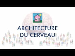 Architecture du Cerveau