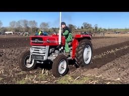Massey Ferguson 135 Is Back To Work, Ploughing For Silage