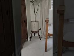 can you have too many little stools and chairs?? #thriftedandstyled