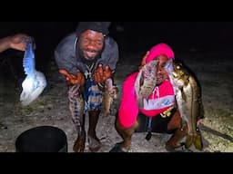 FIRST TO SHOT A WILD BIRD WITH A SPEAR GUN SNOOK N TILAPIA CATCH