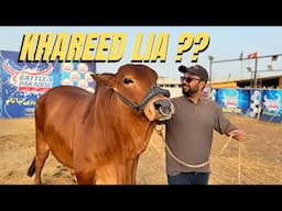 Khareed Liya? | Mandi 2025 | Faisal Iqbal