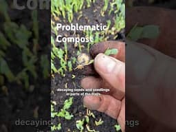 Problematic Compost #municipalcompost #dieoff #seedling #microgreen #peashoot