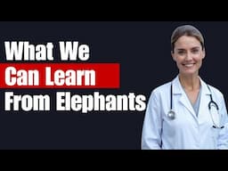 What Elephants Taught Me About Healing Through Chaos
