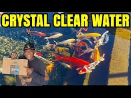 How to get Crystal Clear Pond Water