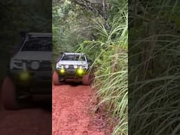 #ranger llantas 35 #panama #offroad #lodo #4x4 #ford #4x4panama #offroadpanama