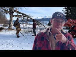 Saving the Old Swing Tree || Otto Kilcher