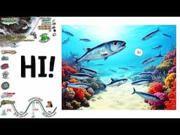 More Sardine Shoals Spotted in Port Elizabeth #sardinemigration #2025 #sardines #run #sardine