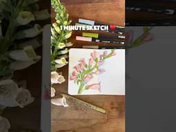1 minute sketch 🌷 | #1