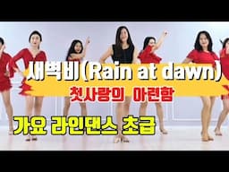 새벽비(Rain at dawn) |신나는  가요 라인댄스 초급