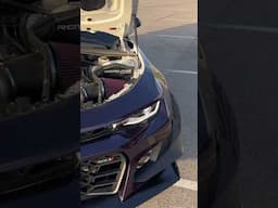 Who did it better? ZL1 or GT500