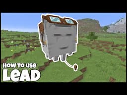 How To Use The LEAD In MINECRAFT 1.21.6