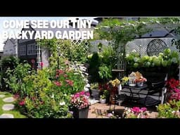 FULL VIDEO | TINY BACKYARD GARDEN TRANSITION FROM SPRING TO FALL  TO INSPIRE & RELAX #garden #new