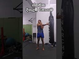 බර අඩු කරගන්න , Fit එකේ ඉන්න , දවසේ කැලරි ගෝල් එකට යන්න උදව්වෙන සම්පූර්ණ ව්‍යායාම workout එකක්