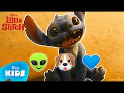 Guess the Disney Character 🌊🌺🏄 EMOJI EDITION | Lilo & Stitch | @disneykids