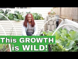 I Wasn’t Expecting THIS Much Garden Growth So Soon!