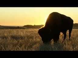 Exploring Missouri's Centers for Conservation Innovation