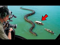 1 IN A MILLION Animal Moments Caught On Camera!