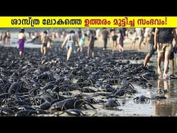 ഇത് ക്യാമറയിൽ പതിഞ്ഞില്ലായിരുന്നെങ്കിൽ!😱One In A Billion Natural Moments Wonders The Science-Storify