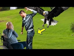 When A Son Attacked His Paralyzed Father, An Eagle Suddenly Appeared And Did THIS!