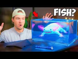 I Bought An Axolotl Mystery Box Off The Web...
