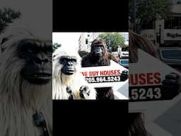 Bigfoot out here flipping houses now? 😂